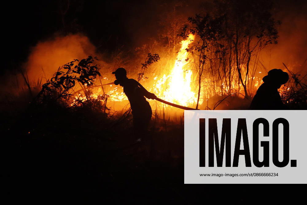 Forest And Peatland Fire In Ogan Ilir, South Sumatra A firefighter from the Ogan Ilir Regional Disaster Management Agency (BPBD) works to extinguish a forest and land fire along the Palembang-Inderalaya highway in Sungai Rambutan, Ogan Ilir Regency, South Sumatra, on September 11, 2026. Ogan Ilir, South Sumatra Indonesia