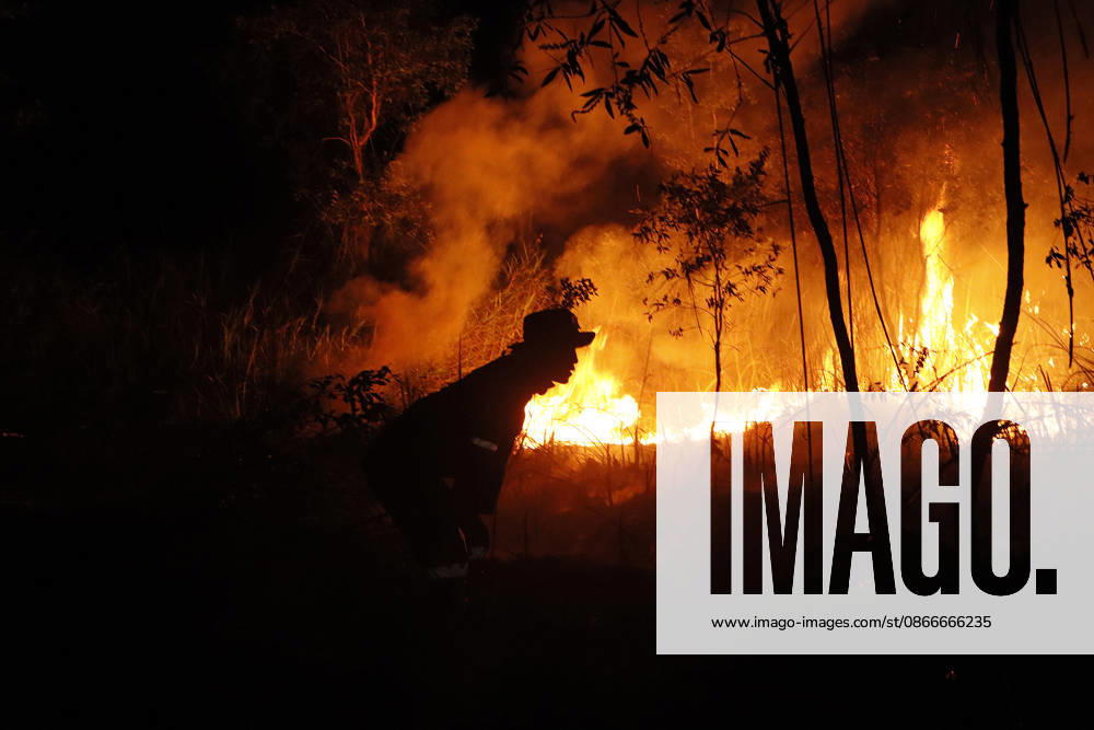 Forest And Peatland Fire In Ogan Ilir, South Sumatra A firefighter from the Ogan Ilir Regional Disaster Management Agency (BPBD) works to extinguish a forest and land fire along the Palembang-Inderalaya highway in Sungai Rambutan, Ogan Ilir Regency, South Sumatra, on September 11, 2026. Ogan Ilir, South Sumatra Indonesia