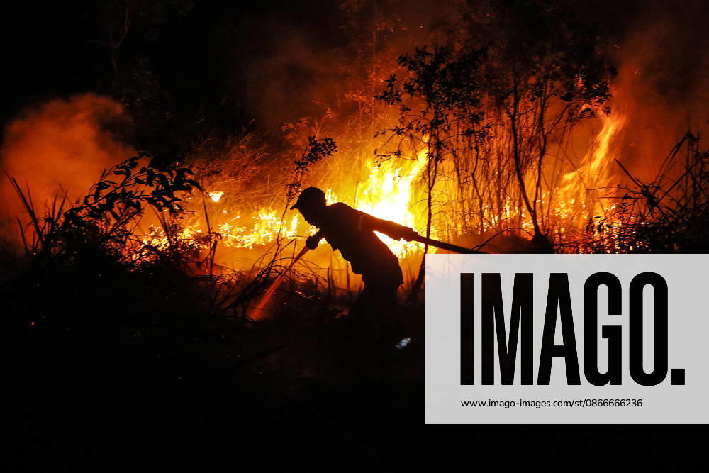Forest And Peatland Fire In Ogan Ilir, South Sumatra A firefighter from the Ogan Ilir Regional Disaster Management Agency (BPBD) works to extinguish a forest and land fire along the Palembang-Inderalaya highway in Sungai Rambutan, Ogan Ilir Regency, South Sumatra, on September 11, 2026. Ogan Ilir, South Sumatra Indonesia