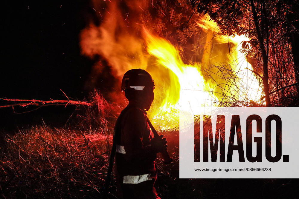 Forest And Peatland Fire In Ogan Ilir, South Sumatra A firefighter from the Ogan Ilir Regional Disaster Management Agency (BPBD) works to extinguish a forest and land fire along the Palembang-Inderalaya highway in Sungai Rambutan, Ogan Ilir Regency, South Sumatra, on September 11, 2026. Ogan Ilir, South Sumatra Indonesia