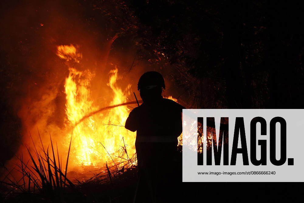 Forest And Peatland Fire In Ogan Ilir, South Sumatra A firefighter from the Ogan Ilir Regional Disaster Management Agency (BPBD) works to extinguish a forest and land fire along the Palembang-Inderalaya highway in Sungai Rambutan, Ogan Ilir Regency, South Sumatra, on September 11, 2026. Ogan Ilir, South Sumatra Indonesia