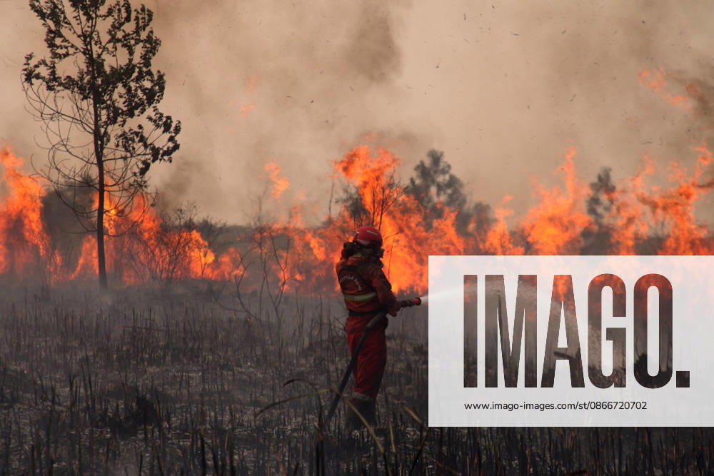 Firefighters battle forest fires in Indonesia s South Sumatra OGAN ILIR, INDONESIA - SEPTEMBER 12 : Indonesian firefighter from Manggala Agni tried to extinguish wildfires at Sungai Rambutan Regency in Ogan Ilir, South Sumatera, Indonesia on September 12, 2026. El Nino conditions are helping to fuel wildfires across Indonesia, leaving some 113,336 people respiratory illnesses according to the country’s health officials. High-intensity wildfires on Indonesia’s Borneo and Sumatra islands are worsening air quality and affecting neighbouring countries in South East Asia, including Malaysia, Singapore and the Philippines. Muhammad Fajri Anadolu Ogan ilir Indonesia. Editorial use only. Please get in touch for any other usage.