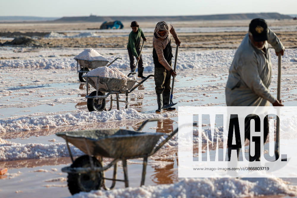 Workers in Syria-Iraq border s Deir ez-Zor Desert make a living from salt DEIR EZ-ZOR, SYRIA - SEPTEMBER 10: Workers laboring in the Deir ez-Zor Desert on the Syria-Iraq border try to support their families with the salt they extract from deep in the ground, enduring scorching heat and thick dust in Deir ez-Zor, Syria on September 10, 2026. After putting the salt they dig out of the earth through various processes, workers gather it with wheelbarrows and load it onto trucks. Despite all these harsh conditions, salt production continues to be one of the most vital sources of livelihood for the local population. Abdulrhman El Ali Anadolu Deir ez-Zor Syria. Editorial use only. Please get in touch for any other usage.
