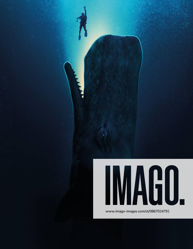 Austin Abrams USA. Austin Abrams in (C)20th Century Studios new movie : Whalefall (2026). PLOT: Follows a scuba diver who, while looking for his father s remains, is swallowed by an 80-foot, 60-ton sperm whale and has just one hour to get out before his oxygen runs out. LMK106-J11958-140926 Supplied by LMKMEDIA. Editorial Only. Landmark Media is not the copyright owner of these Film or TV stills but provides a service only for recognised Media outlets.