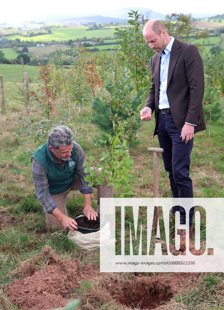 The Prince Of Wales Visits Monmouthshire And Herefordshire ABERGAVENNY, WALES - OCTOBER 01: Prince William, Prince Of Wales (R) joins volunteers participating in a seed collection activity and hears about the progress towards the goal of planting one million trees during his visit to meet representatives from charity Stump Up For Trees, a charity which aims to plant 1 million native trees across South Wales, at White Castle Farm on October 01, 2026 in Abergavenny, Wales. The Prince of Wales visited the region to meet with those tackling the threat of flooding caused by extreme weather conditions., Credit:Chris Jackson PA ROTA - B68 Avalon United Kingdom, Wales, Abergavenny