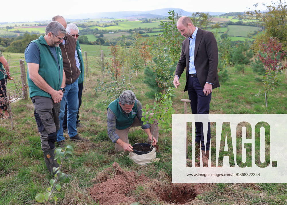 The Prince Of Wales Visits Monmouthshire And Herefordshire ABERGAVENNY, WALES - OCTOBER 01: Prince William, Prince Of Wales (R) joins volunteers participating in a seed collection activity and hears about the progress towards the goal of planting one million trees during his visit to meet representatives from charity Stump Up For Trees, which aims to plant native trees across South Wales, at White Castle Farm on October 01, 2026 in Abergavenny, Wales. The Prince of Wales visited the region to meet with those tackling the threat of flooding caused by extreme weather conditions., Credit:Chris Jackson PA ROTA - B68 Avalon United Kingdom, Wales, Abergavenny
