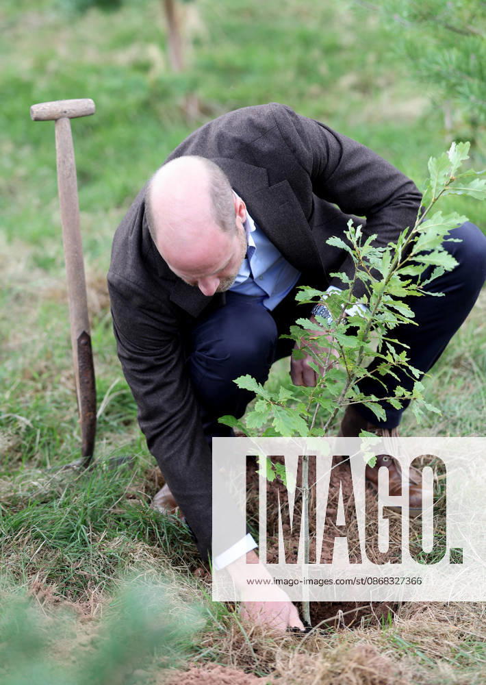 The Prince Of Wales Visits Monmouthshire And Herefordshire ABERGAVENNY, WALES - OCTOBER 01: Prince William, Prince Of Wales participates in a seed collection activity and hears about the progress towards the goal of planting one million trees during his visit to charity Stump Up For Trees, which aims to plant native trees across South Wales, at White Castle Farm on October 01, 2026 in Abergavenny, Wales. The Prince of Wales visited the region to meet with those tackling the threat of flooding caused by extreme weather conditions., Credit:Chris Jackson PA ROTA - B68 Avalon United Kingdom, Wales, Abergavenny