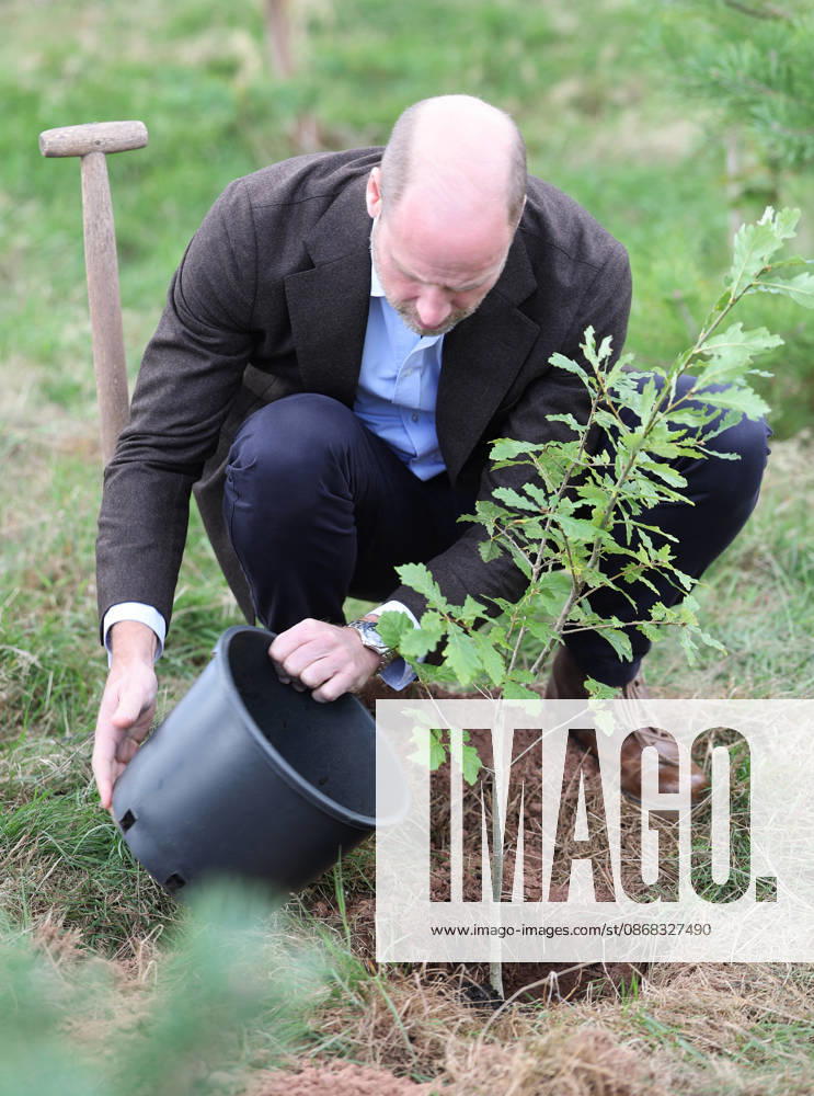 The Prince Of Wales Visits Monmouthshire And Herefordshire ABERGAVENNY, WALES - OCTOBER 01: Prince William, Prince Of Wales participates in a tree planting activity as he hears about the progress towards the goal of planting one million trees during his visit to charity Stump Up For Trees, which aims to plant native trees across South Wales, at White Castle Farm on October 01, 2026 in Abergavenny, Wales. The Prince of Wales visited the region to meet with those tackling the threat of flooding caused by extreme weather conditions., Credit:Chris Jackson PA ROTA - B68 Avalon United Kingdom, Wales, Abergavenny