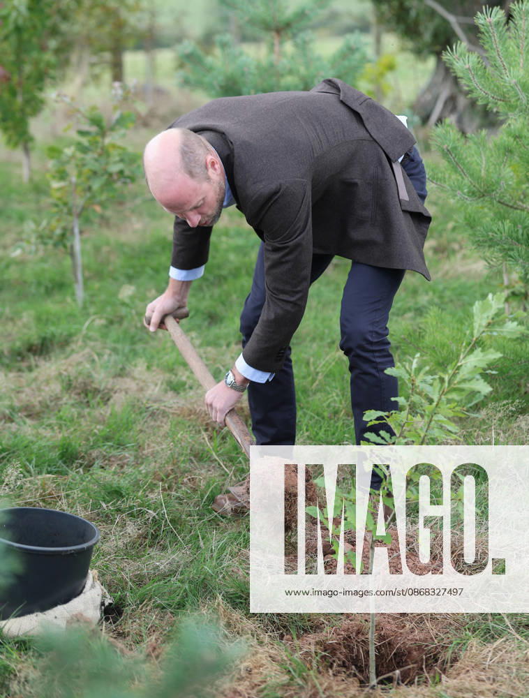 The Prince Of Wales Visits Monmouthshire And Herefordshire ABERGAVENNY, WALES - OCTOBER 01: Prince William, Prince Of Wales participates in a tree planting activity as he hears about the progress towards the goal of planting one million trees during his visit to charity Stump Up For Trees, which aims to plant native trees across South Wales, at White Castle Farm on October 01, 2026 in Abergavenny, Wales. The Prince of Wales visited the region to meet with those tackling the threat of flooding caused by extreme weather conditions., Credit:Chris Jackson PA ROTA - B68 Avalon United Kingdom, Wales, Abergavenny