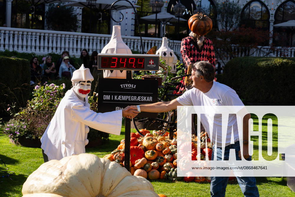 Danish Championship in Giant Pumpkins Revealed Ole Christensen from Skanderborg with his pumpkin weighing 349.4 kg at the Danish Championship in Giant Pumpkins in Tivoli, Copenhagen, on Saturday, October 3, 2026. (Photo: Emil Nicolai Helms Scanpix 2026) , Copenhagen Denmark
