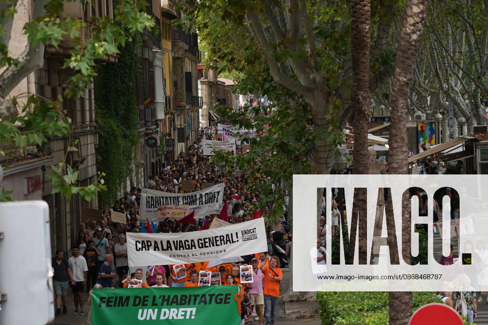 Housing Protest in Palma: A large crowd gathered during a protest to demand a reduction in housing rents on October 3, 2026, in Palma de Mallorca, Mallorca, Balearic Islands, Spain. The Tenants’ Union and PAH Mallorca (Platform of People Affected and Involved by Mortgages and Housing) have organized the march to demand changes in housing policies and greater protection for renters. Prime Minister Pedro Sánchez, will spend the next few hours analyzing what happened yesterday, Friday, in Congress following the rejection of the two royal decrees on housing, and will be monitoring the public reaction in the streets to decide whether to ultimately call early general elections. OCTOBER 3, 2026 Javier Ferná Palma de Mallorca, Mallorca, Isl Palma