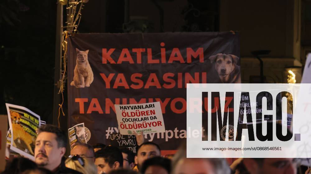 Izmir, To¼rkiye: IZMIR, TURKEY †OCTOBER 4, 2026: Animal rights activists staged a protest in Izmir on World Animal Protection Day, opposing the decision to round up and euthanize stray animals. Members of the Izmir Right to Life Advocates gathered in front of Alsancak Train Station in the Konak district and protested against the Law Amending the Animal Protection Act, which was passed by the Grand National Assembly of Turkey on July 30, 2024, published in the Official Gazette on August 2, 2024, and entered into force. Activists marched from Alsancak Station along Cyprus Martyrs Street before gathering in front of the To¼rkan Saylan Cultural Center. Chanting slogans including â€oeNo to your laws, let the anima - ZUMAq101 20261004_zna_q101_109