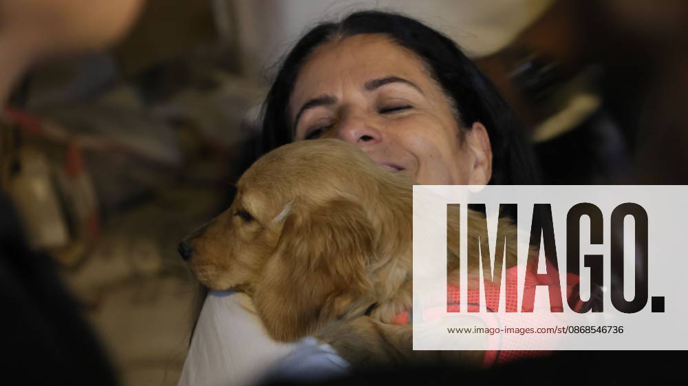 Izmir, To¼rkiye: IZMIR, TURKEY †OCTOBER 4, 2026: Animal rights activists staged a protest in Izmir on World Animal Protection Day, opposing the decision to round up and euthanize stray animals. Members of the Izmir Right to Life Advocates gathered in front of Alsancak Train Station in the Konak district and protested against the Law Amending the Animal Protection Act, which was passed by the Grand National Assembly of Turkey on July 30, 2024, published in the Official Gazette on August 2, 2024, and entered into force. Activists marched from Alsancak Station along Cyprus Martyrs Street before gathering in front of the To¼rkan Saylan Cultural Center. Chanting slogans including â€oeNo to your laws, let the anima - ZUMAq101 20261004_zna_q101_110