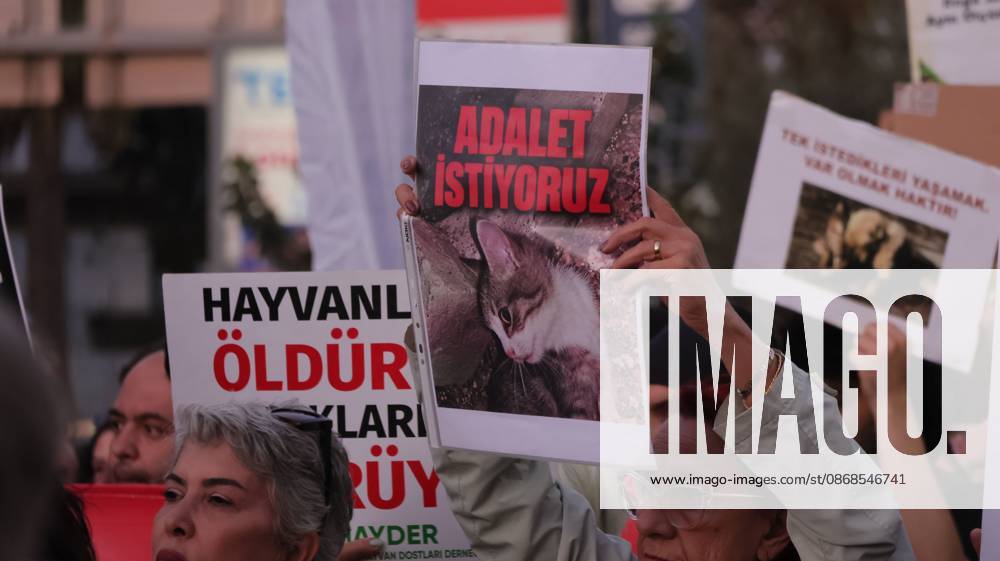 Izmir, To¼rkiye: IZMIR, TURKEY †OCTOBER 4, 2026: Animal rights activists staged a protest in Izmir on World Animal Protection Day, opposing the decision to round up and euthanize stray animals. Members of the Izmir Right to Life Advocates gathered in front of Alsancak Train Station in the Konak district and protested against the Law Amending the Animal Protection Act, which was passed by the Grand National Assembly of Turkey on July 30, 2024, published in the Official Gazette on August 2, 2024, and entered into force. Activists marched from Alsancak Station along Cyprus Martyrs Street before gathering in front of the To¼rkan Saylan Cultural Center. Chanting slogans including â€oeNo to your laws, let the anima - ZUMAq101 20261004_zna_q101_113