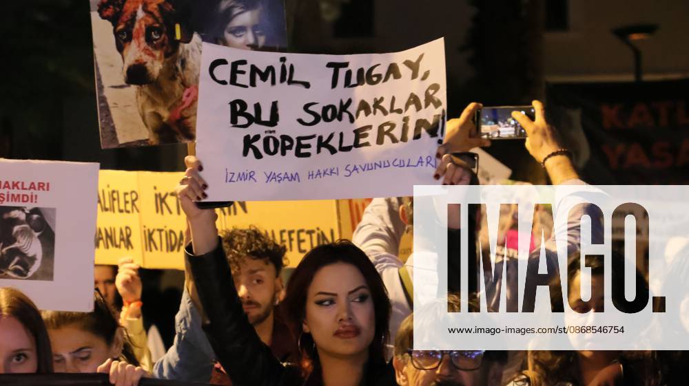 Izmir, ToÂ¼rkiye: IZMIR, TURKEY Ã¢â‚¬ OCTOBER 4, 2026: Animal rights activists staged a protest in Izmir on World Animal Protection Day, opposing the decision to round up and euthanize stray animals. Members of the Izmir Right to Life Advocates gathered in front of Alsancak Train Station in the Konak district and protested against the Law Amending the Animal Protection Act, which was passed by the Grand National Assembly of Turkey on July 30, 2024, published in the Official Gazette on August 2, 2024, and entered into force. Activists marched from Alsancak Station along Cyprus Martyrs Street before gathering in front of the ToÂ¼rkan Saylan Cultural Center. Chanting slogans including Ã¢â‚¬oeNo to your laws, let the anima - ZUMAq101 20261004_zna_q101_118