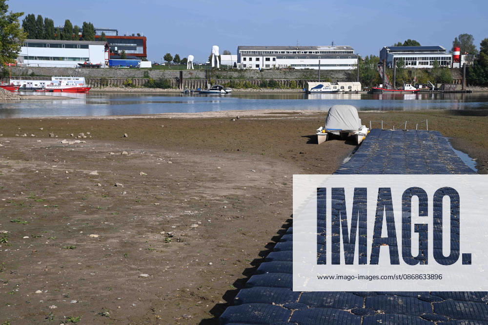 Das Niedrigwasser im Duesseldorfer Hafen hat eine grosse Sandbank freigelegt, Steine und Sand am Ufer, Hafenbecken A, auf dem Grund ein Motorboot, Katamaran, Duesseldorf am 05.10.2026,