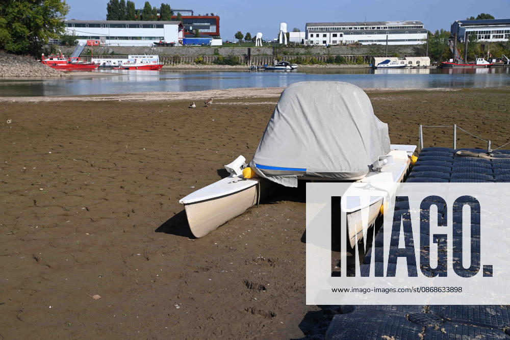 Das Niedrigwasser im Duesseldorfer Hafen hat eine grosse Sandbank freigelegt, Steine und Sand am Ufer, Hafenbecken A, auf dem Grund ein Motorboot, Katamaran, Duesseldorf am 05.10.2026,