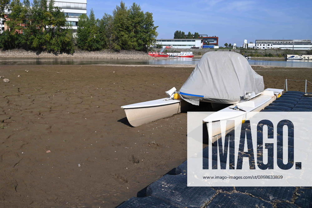 Das Niedrigwasser im Duesseldorfer Hafen hat eine grosse Sandbank freigelegt, Steine und Sand am Ufer, Hafenbecken A, auf dem Grund ein Motorboot, Katamaran, Duesseldorf am 05.10.2026,
