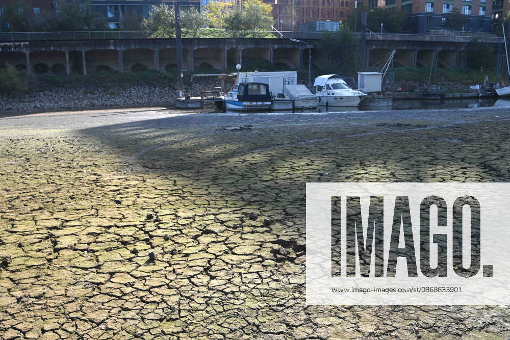 Das Niedrigwasser im Duesseldorfer Hafen hat eine grosse Sandbank freigelegt, Steine und Sand am Ufer, Hafenbecken A, Motorboote und Yachten liegen auf dem Grund, Duesseldorf am 05.10.2026,