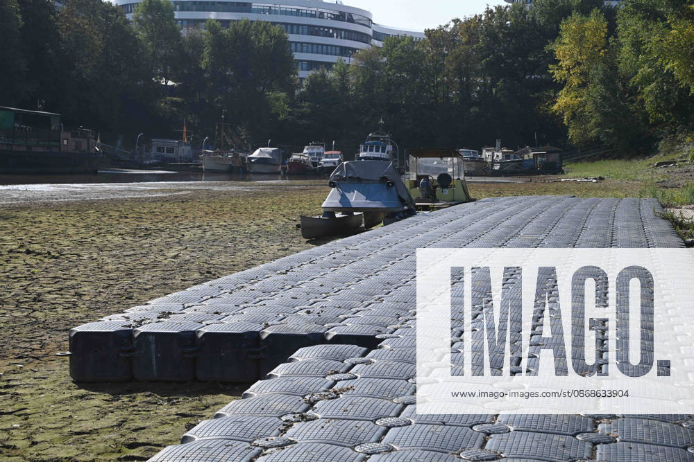 Das Niedrigwasser im Duesseldorfer Hafen hat eine grosse Sandbank freigelegt, Steine und Sand am Ufer, Hafenbecken A, Motorboote und Yachten liegen auf dem Grund, Duesseldorf am 05.10.2026,