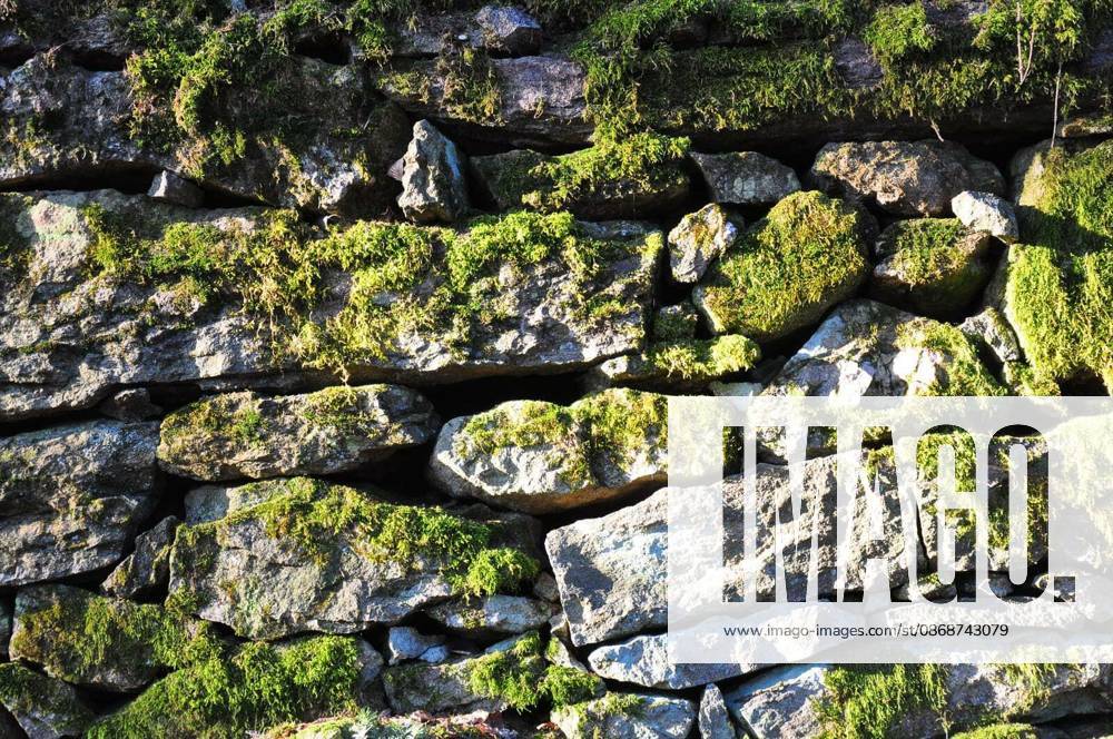 Granite wall with moss