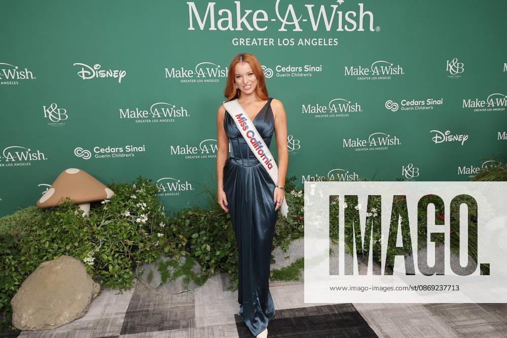 filenamebase:0,-5} at 2026 Los Angeles Make A Wish Foundation Gala at Fairmont Century Plaza Hotel Century City USA - ZUMAg107 20261011_zep_g107_117