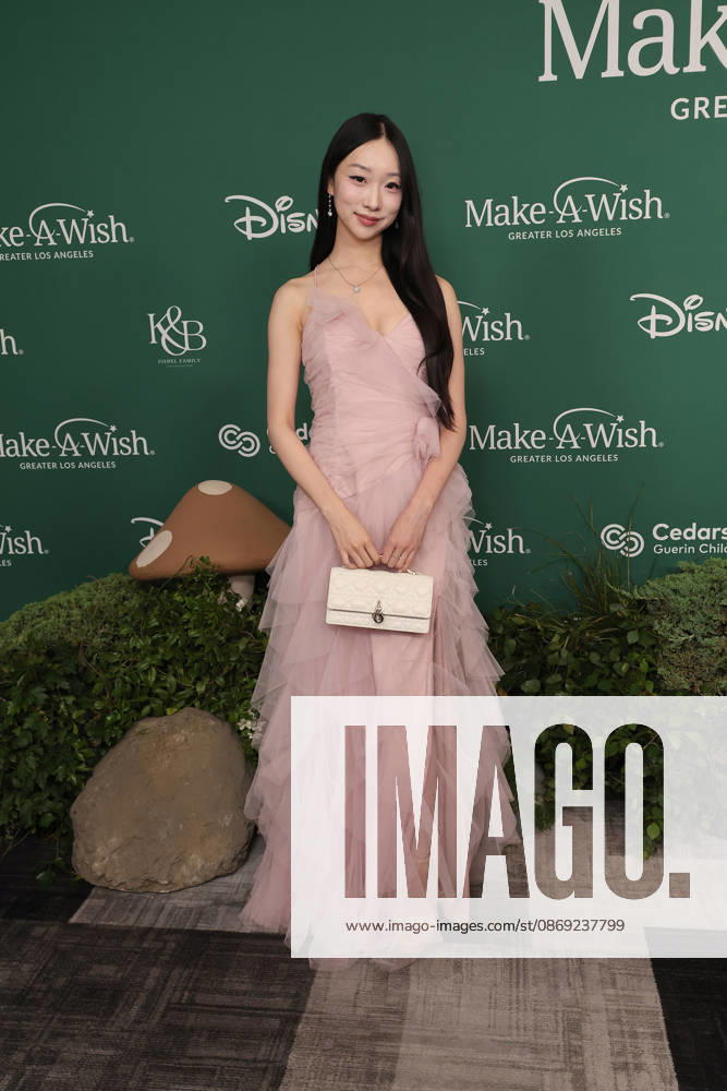 filenamebase:0,-5} at 2026 Los Angeles Make A Wish Foundation Gala at Fairmont Century Plaza Hotel Century City USA - ZUMAg107 20261011_zep_g107_097