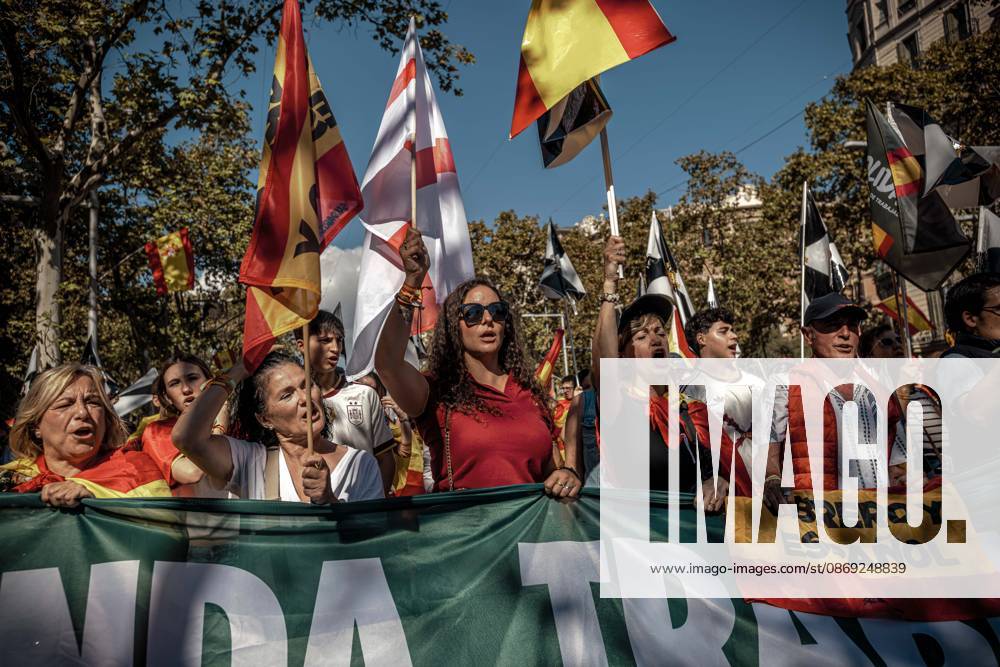Demonstrators carry flags and banners during a rally marking Spainâ€⠢s National Day. Barcelona Spain - ZUMAo105 20261012_fap_o105_017