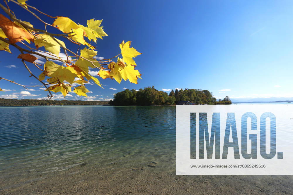 Ein Herbsttag in Feldafing, Feldafinger Park (Landkreis Starnberg). Hier der Blick auf den Starnberger See mit der Roseninsel, links Ahornblätter, gefärbte Bäume, Laubfärbung, Laubbaum, herbstlich, Farbenspiel, Herbstlaub, Herbstfärbung, Blattfärbung, rot, gelb, rotes Laub, gelbes Laub, Naturschauspiel, Herbstbild, Herbstimpression, Wetterbild, goldener Oktober