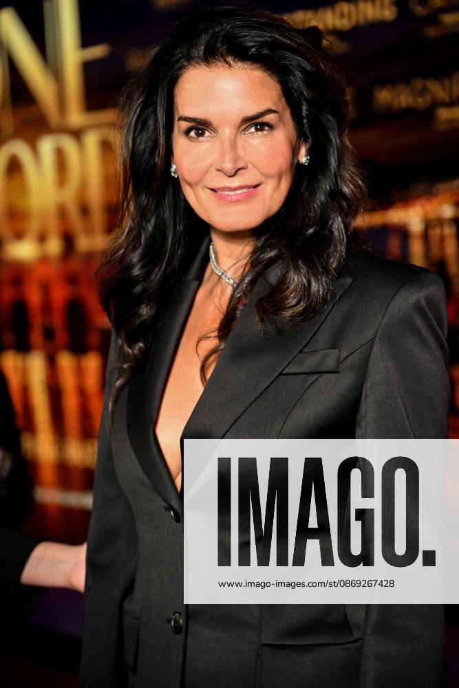 Angie Harmon during the opening night of MIPCOM 2026 at the Majestic Hotel in Cannes on October 12, 2026. MIPCOM is the International Market for Audiovisual Content and Co-production. Every October, it brings together TV and media professionals in Cannes for four days of business, networking, and collaboration. Bruno Bebert, Bestimage. MIPCOM 2025 at the Palais des Festivals in Cannes, October 12, 2026, Cannes, France