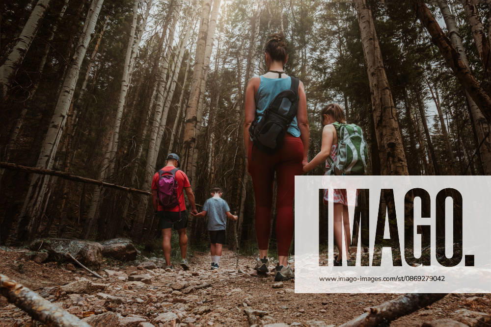 Family of four hiking together through a dense forest Tulsa, Oklahoma, United States CR_KRRY261009-2124148-01 ,model released, Symbolfoto ,property released