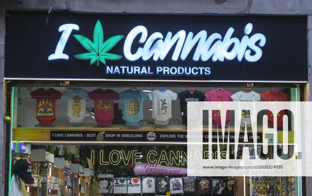 A sign reading I love cannabis is seen inside a store in downtown Barcelona. In response to the proliferation of cannabis shops in Barcelona and the rise in emergency room visits due to intoxication and panic attacks among young tourists especially British tourists the Barcelona City Council has launched an advertising campaign in hotels to discourage the use of these substances in the form of vaporizers or candies. Barcelona Spain - ZUMAs197 20261013_aaa_s197_130
