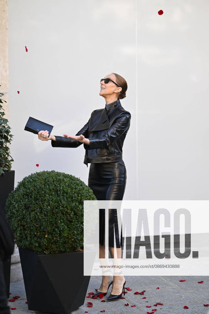Céline Dion greets her fans as she leaves theRoyal Monceau Hotel in Paris before heading to the La Plénitude Arena in Paris La Défense to continue her concert series on October 14, 2026. Pierre Perusseau, Bestimage. Céline Dion greets fans as she leaves the Royal Monceau Hotel in Paris before heading to the La Plénitude Arena in Paris La Défense to continue her concert series on October 14, 2026, Paris, France