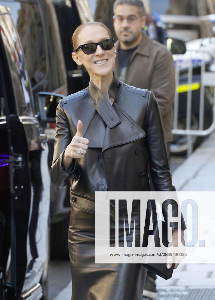Céline Dion greets her fans as she leaves theRoyal Monceau Hotel in Paris before heading to the La Plénitude Arena at Paris La Défense to continue her concert series on October 14, 2026 Christophe Aubert Bestimage Céline Dion greets fans as she leaves the Royal Monceau Hotel in Paris before heading to the La Plénitude Arena at Paris La Défense to continue her concert series on October 14, 2026, Paris, France