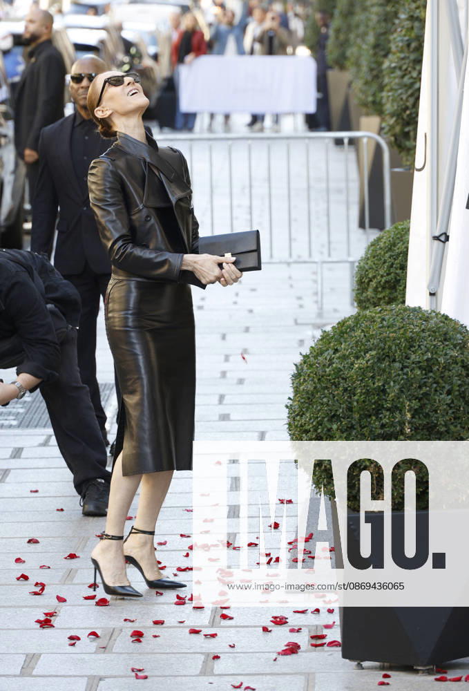 Céline Dion greets her fans as she leaves theRoyal Monceau Hotel in Paris before heading to the La Plénitude Arena at Paris La Défense to continue her concert series on October 14, 2026 Christophe Aubert Bestimage Céline Dion greets fans as she leaves the Royal Monceau Hotel in Paris before heading to the La Plénitude Arena at Paris La Défense to continue her concert series on October 14, 2026, Paris, France