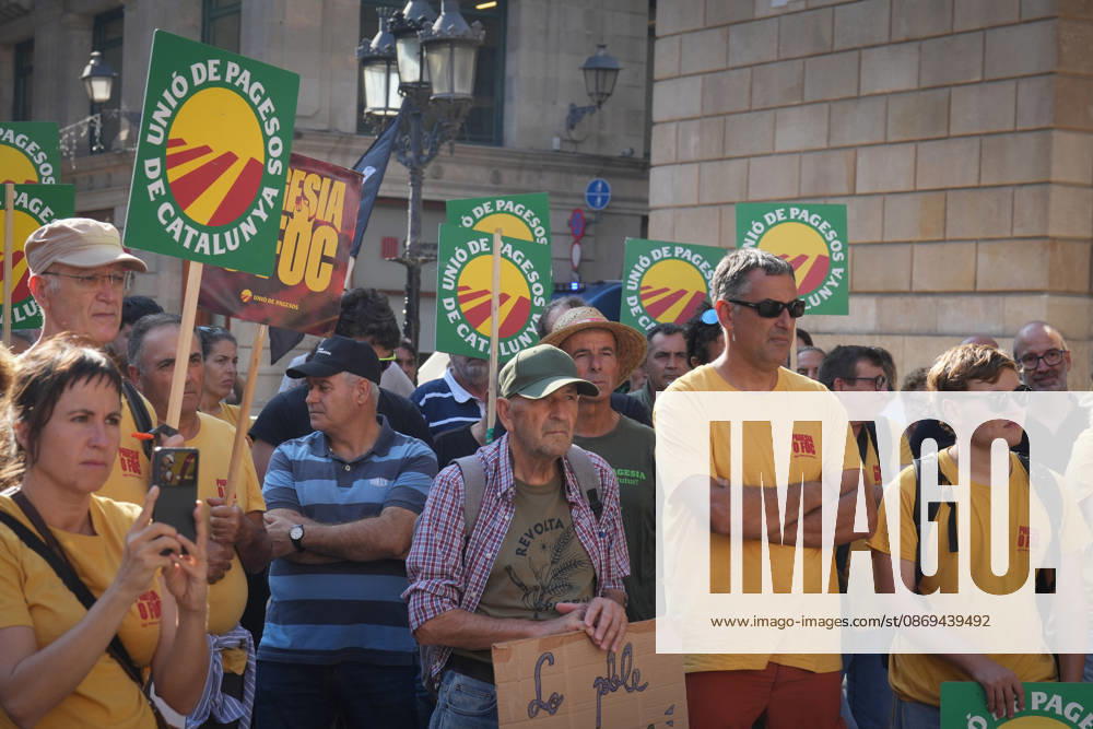 Tractor Rally for Agriculture in Barcelona: Protesters during a rally of tractors from various parts of Catalonia in front of the Government Delegation and statements, on October 14, 2026, in Barcelona, Catalonia, Spain. The demonstration, organized by Unió de Pagesos with the support of Asaja, FCAC, and Revolta Pagesa, denounces the structural crisis in the agricultural sector in Barcelona. OCTOBER 14, 2026, Spain