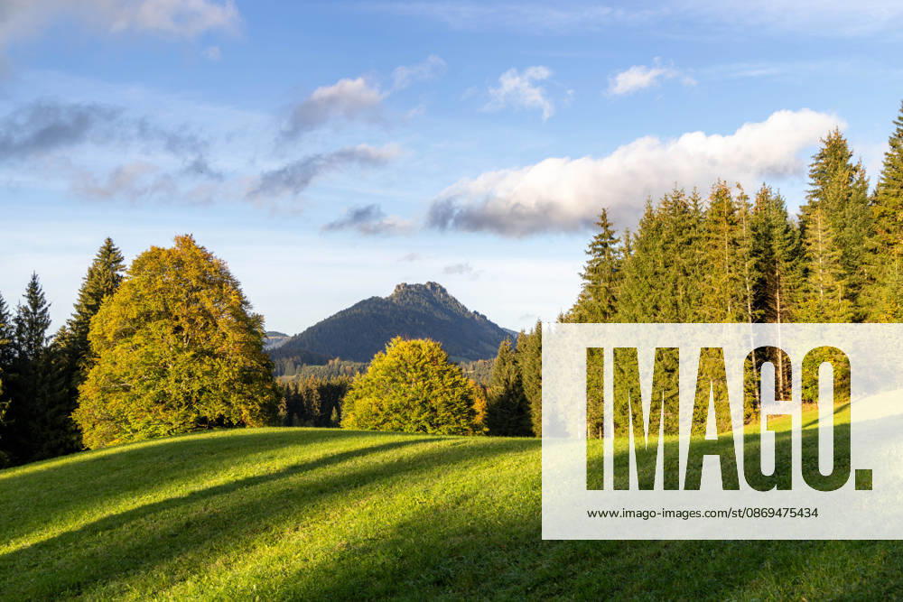 Herbstabend im Allgäu Abendstimmung bei Oberjoch im Allgäu., Bad Hindelang Bayern Deutschland