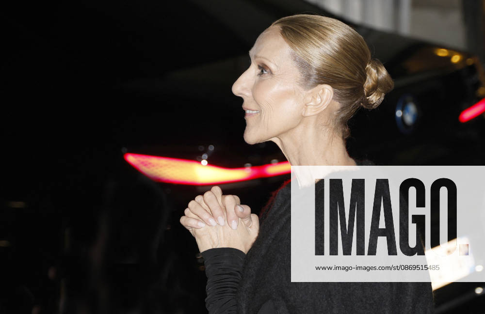 Céline Dion greets her fans as she arrives at the Royal Monceau hotel in Paris after her concert at the Plénitude Arena in Paris La Défense on October 14, 2026. Christophe Aubert, Bestimage. Céline Dion greets her fans as she arrives at the Royal Monceau hotel in Paris after her concert at the Plénitude Arena in Paris La Défense on October 14, 2026, Paris, France