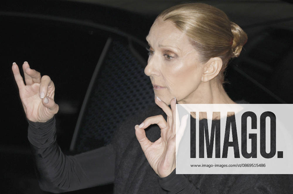 Céline Dion greets her fans as she arrives at the Royal Monceau hotel in Paris after her concert at the Plénitude Arena in Paris La Défense on October 14, 2026. Christophe Aubert, Bestimage. Céline Dion greets her fans as she arrives at the Royal Monceau hotel in Paris after her concert at the Plénitude Arena in Paris La Défense on October 14, 2026, Paris, France