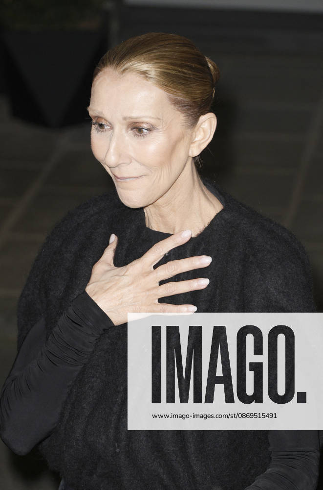 Céline Dion greets her fans as she arrives at the Royal Monceau hotel in Paris after her concert at the Plénitude Arena in Paris La Défense on October 14, 2026. Christophe Aubert, Bestimage. Céline Dion greets her fans as she arrives at the Royal Monceau hotel in Paris after her concert at the Plénitude Arena in Paris La Défense on October 14, 2026, Paris, France