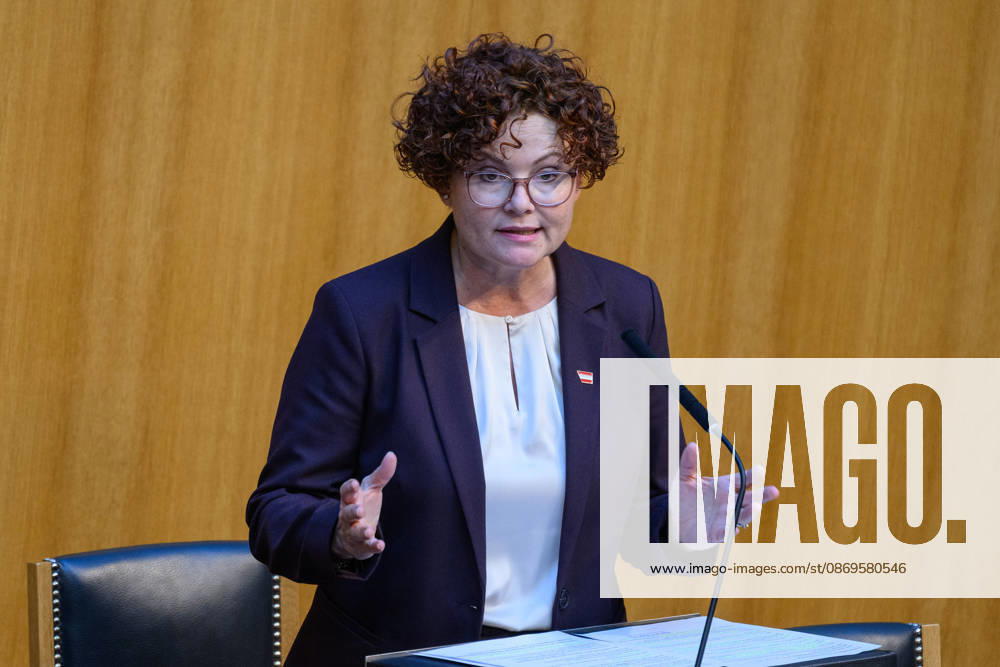Â - Wien 15.10.2026 - 103. Sitzung des Nationalrates. PHOTO: Wirtschaftstaatssekretärin Elisabeth Zehetner (ÖVP) 103th sitting of the National Council. Nationalrat, Nationalratssitzung, Parlamentssitzung, Parlament, Plenum 103. Sitzung des Nationalrates
