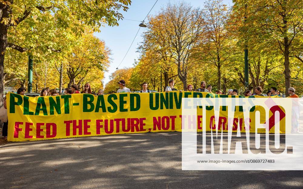 Fridays For Future Klimastreik Klimaschutz ankündigen reicht nicht - Ohne Klimaschutz ist alles nix! TeilnehmerInnen des Fridays For Future Klimastreiks unter dem Motto Klimaschutz ankündigen reicht nicht - Ohne Klimaschutz ist alles nix! in der Prater Hauptallee beim Praterstern und an der Wiener Ringstraße in Wien, Österreich. Wien Prater Hauptallee beim Praterste Wien Oesterreich