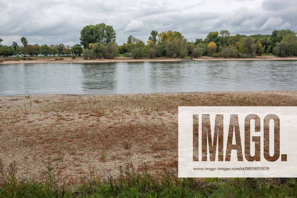 Seit Wochen beeinträchtigt Niedrigwasser den Schiffsverkehr auf dem Rhein. Im Köln lag der Pegel am Sonntag, 18. Oktober, bei nur noch 53 Zentimeter. Das Bild zeigt den Strom zwischen Köln-Poll und Köln-Rodenkirchen im Süden der Stadt. Niedrigwasser am Rhein