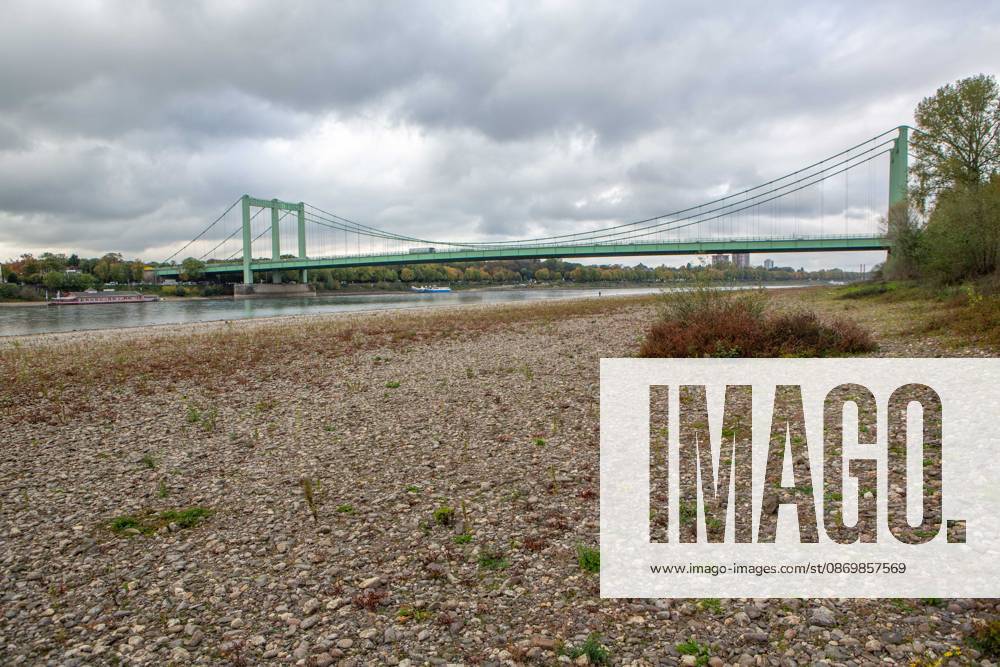 Seit Wochen beeinträchtigt Niedrigwasser den Schiffsverkehr auf dem Rhein. Im Köln lag der Pegel am Sonntag, 18. Oktober, bei nur noch 53 Zentimeter. Das Bild zeigt den Strom zwischen Köln-Poll und Köln-Rodenkirchen und die Rodenkirchener Brücke im Süden der Stadt. Niedrigwasser am Rhein