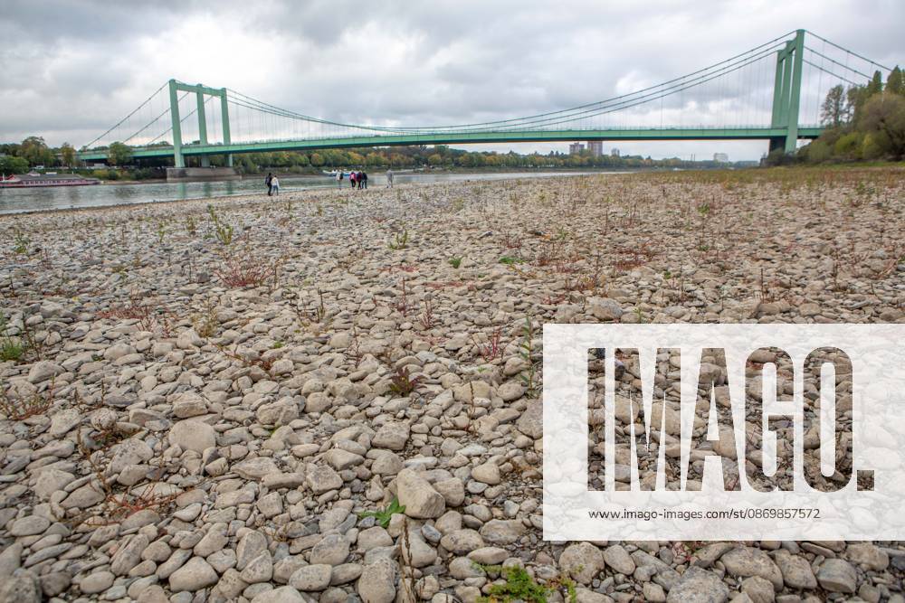 Seit Wochen beeinträchtigt Niedrigwasser den Schiffsverkehr auf dem Rhein. Im Köln lag der Pegel am Sonntag, 18. Oktober, bei nur noch 53 Zentimeter. Das Bild zeigt den Strom zwischen Köln-Poll und Köln-Rodenkirchen und die Rodenkirchener Brücke im Süden der Stadt. Niedrigwasser am Rhein