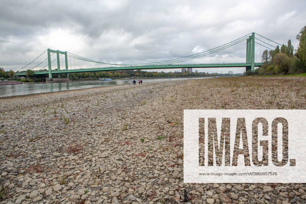 Seit Wochen beeinträchtigt Niedrigwasser den Schiffsverkehr auf dem Rhein. Im Köln lag der Pegel am Sonntag, 18. Oktober, bei nur noch 53 Zentimeter. Das Bild zeigt den Strom zwischen Köln-Poll und Köln-Rodenkirchen und die Rodenkirchener Brücke im Süden der Stadt. Niedrigwasser am Rhein