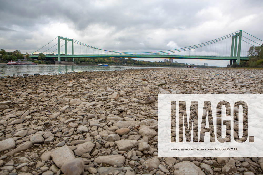 Seit Wochen beeinträchtigt Niedrigwasser den Schiffsverkehr auf dem Rhein. Im Köln lag der Pegel am Sonntag, 18. Oktober, bei nur noch 53 Zentimeter. Das Bild zeigt den Strom zwischen Köln-Poll und Köln-Rodenkirchen und die Rodenkirchener Brücke im Süden der Stadt. Niedrigwasser am Rhein