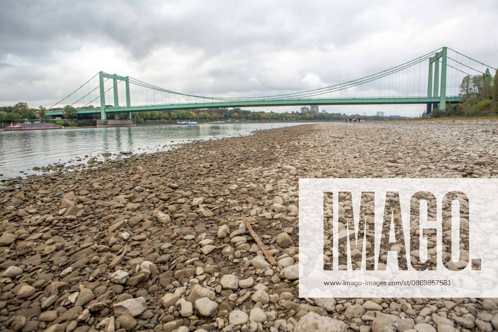 Seit Wochen beeinträchtigt Niedrigwasser den Schiffsverkehr auf dem Rhein. Im Köln lag der Pegel am Sonntag, 18. Oktober, bei nur noch 53 Zentimeter. Das Bild zeigt den Strom zwischen Köln-Poll und Köln-Rodenkirchen und die Rodenkirchener Brücke im Süden der Stadt. Niedrigwasser am Rhein