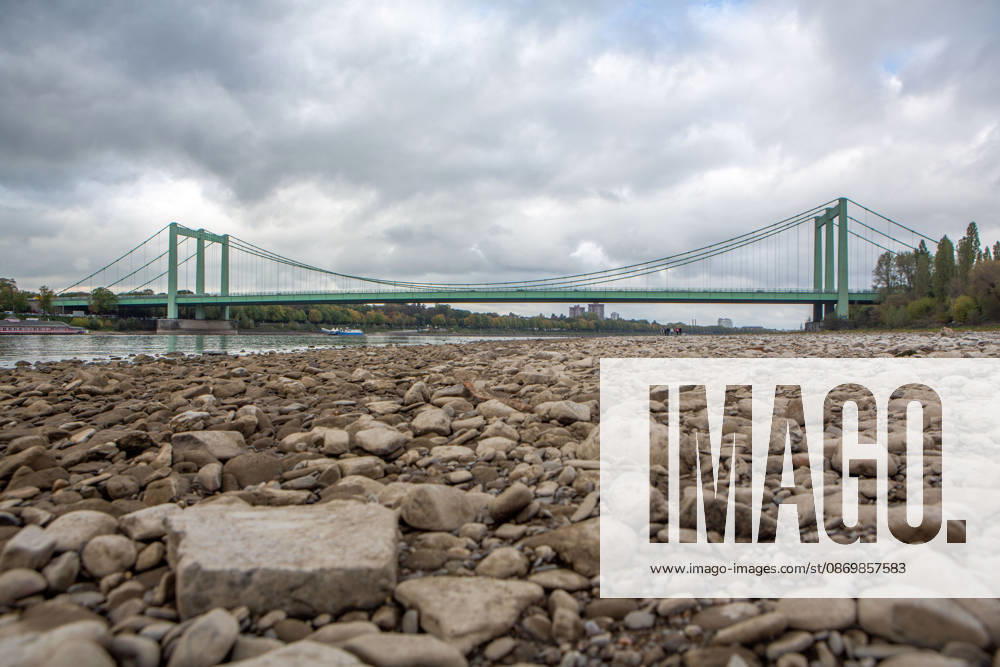 Seit Wochen beeinträchtigt Niedrigwasser den Schiffsverkehr auf dem Rhein. Im Köln lag der Pegel am Sonntag, 18. Oktober, bei nur noch 53 Zentimeter. Das Bild zeigt den Strom zwischen Köln-Poll und Köln-Rodenkirchen und die Rodenkirchener Brücke im Süden der Stadt. Niedrigwasser am Rhein
