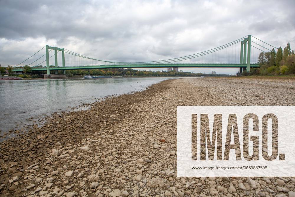 Seit Wochen beeinträchtigt Niedrigwasser den Schiffsverkehr auf dem Rhein. Im Köln lag der Pegel am Sonntag, 18. Oktober, bei nur noch 53 Zentimeter. Das Bild zeigt den Strom zwischen Köln-Poll und Köln-Rodenkirchen und die Rodenkirchener Brücke im Süden der Stadt. Niedrigwasser am Rhein